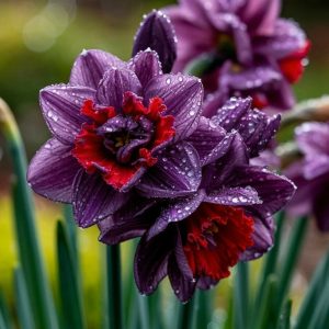 Нарцисс Минт Флер купить по цене от 2000р. в интернет-магазине «Посадика» с доставкой почтой в в Похвистневое и по всей России – [изображение №1].