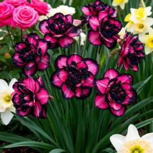 Нарцисс Золотая Корона купить по цене от 2000р. в интернет-магазине «Посадика» с доставкой почтой в в Похвистневое и по всей России – [изображение №1].