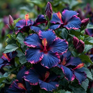 Гибискус Голден Глоу купить по цене от 259р. в интернет-магазине «Посадика» с доставкой почтой в в Похвистневое и по всей России – [изображение №1].