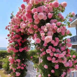 Роза Пастель Розе купить по цене от 605р. в интернет-магазине «Посадика» с доставкой почтой в в Похвистневое и по всей России – [изображение №1].